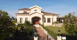 Geri,Nicosia, Cyprus